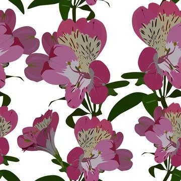 Vector seamless pattern with alstroemeria flowers. Floral background, wallpaper. イラスト素材