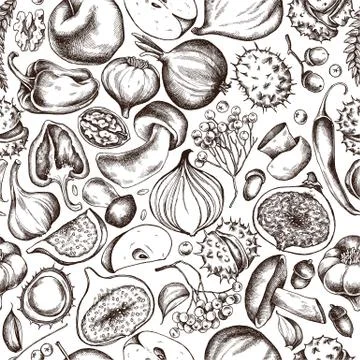 Vector seamless pattern of autumn fruits and vegetables pattern. Hand drawn Stock Illustration