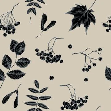 Vector seamless pattern of autumn pattern. Hand drawn vector illustration Stock Illustration