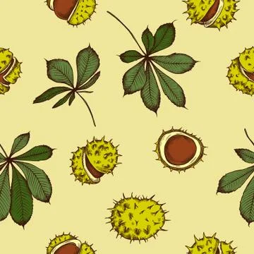 Vector seamless pattern of autumn pattern. Hand drawn vector illustration Stock Illustration