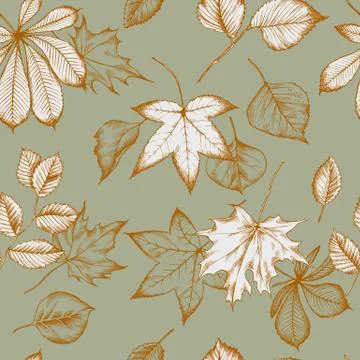 Vector seamless pattern of autumn pattern. Hand drawn vector illustration Stock Illustration