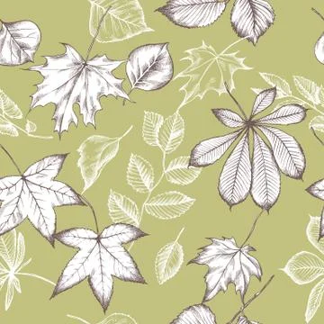 Vector seamless pattern of autumn pattern. Hand drawn vector illustration Stock Illustration