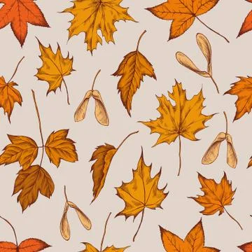 Vector seamless pattern of autumn pattern. Hand drawn vector illustration Stock Illustration