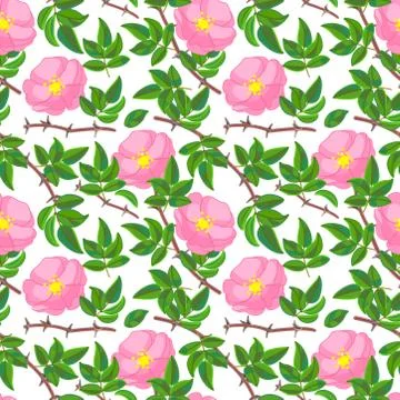 Vector seamless pattern background Stock Illustration