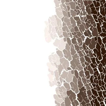 Vector seamless pattern of bark texture. Wood natural structure Stock Illustration