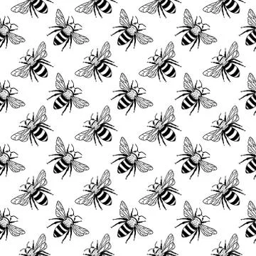 Vector seamless pattern with bees. Black and yellow texture Stock Illustration