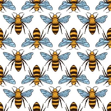 Vector seamless pattern with bees. Black and yellow texture Stock Illustration