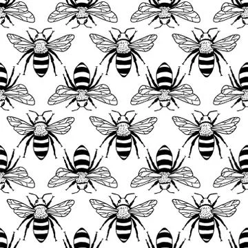 Vector seamless pattern with bees. Black and yellow texture Stock Illustration