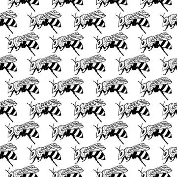 Vector seamless pattern with bees. Black and yellow texture Stock Illustration
