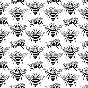 Vector seamless pattern with bees. Black and yellow texture Stock Illustration