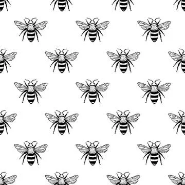 Vector seamless pattern with bees. Black and white texture Stock Illustration