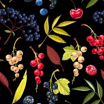 Vector seamless pattern with berries and leaves Stock Illustration
