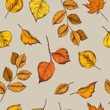Vector seamless pattern of birch orange leaves. Hand drawn vector illustration Stock Illustration