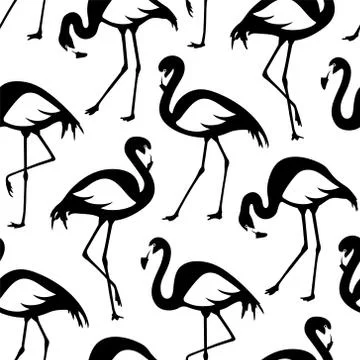 Vector seamless pattern with black and white flamingos 스톡 일러스트