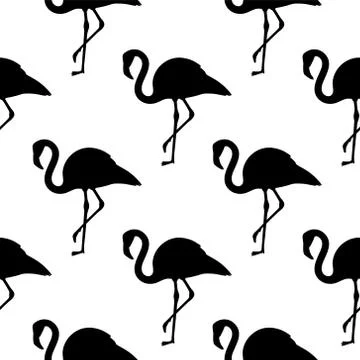 Vector seamless pattern with black and white flamingos 스톡 일러스트