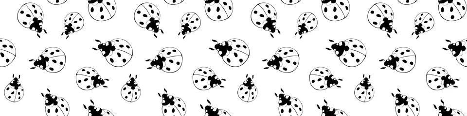 Vector seamless pattern of black contour ladybugs of different sizes in flat  Stock Illustration