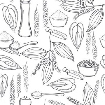 Vector seamless pattern with Black pepper. イラスト素材