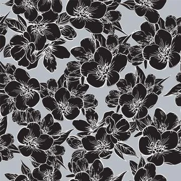 Vector seamless pattern with black sakura flowers. Cherry blossom. 스톡 일러스트