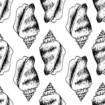 Vector seamless pattern of black seashell outline on white background. A hand Illustrazione stock