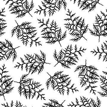 Vector seamless pattern with black thuja on white background Stock Illustration