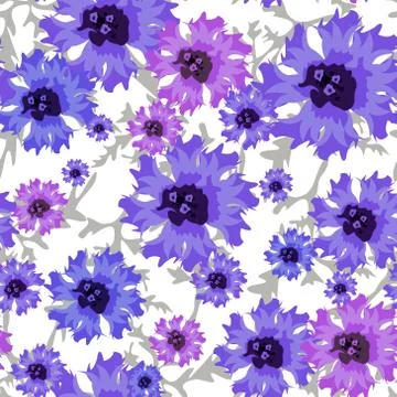 Vector seamless pattern with blue cornflowers on white. Stock Illustration