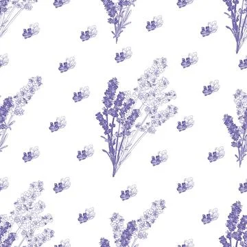 Vector seamless pattern with a bouquet of lavender Stock Illustration