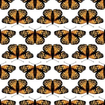 Vector seamless pattern with bright butterflies. Hand drawn texture design Stock Illustration