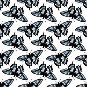 Vector seamless pattern with bright butterflies. Hand drawn texture design Stock Illustration