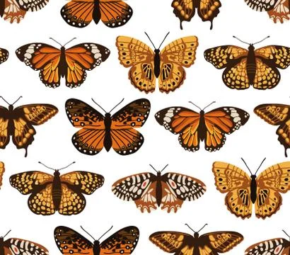 Vector seamless pattern with bright butterflies. Hand drawn texture design Stock Illustration
