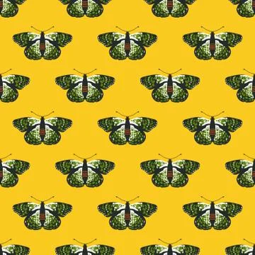 Vector seamless pattern with bright butterflies. Handdrawn texture design Stock Illustration