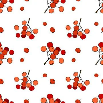 Vector seamless pattern of bunches of rowan red berries, viburnum. Bright tex Illustrazione stock
