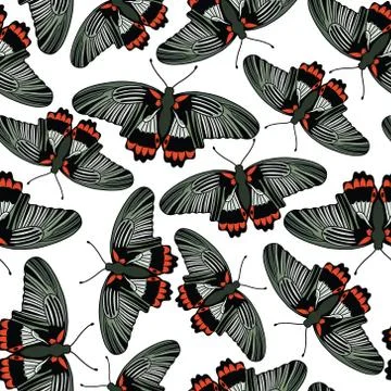 Vector seamless pattern with butterflies Stock Illustration