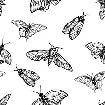 Vector seamless pattern with butterflies. Stylish graphic texture. Monochrome Stock Illustration