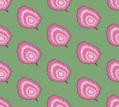 Vector seamless pattern with cabbage slices on a green background. Stock Illustration