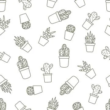 Vector seamless pattern with cactus and succulents Stock Illustration