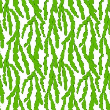 Vector seamless pattern with cactus leaves, repeatable minimalistic backgro.. Illustrazione stock