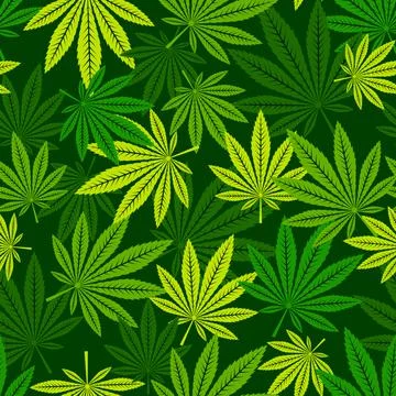 Vector seamless pattern of cannabis leaf. Stock Illustration