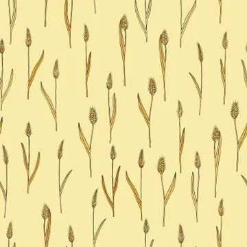 Vector seamless pattern with of cartoon doodle wheat spikes イラスト素材