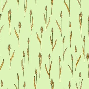 Vector seamless pattern with of cartoon doodle wheat spikes Stock Illustration