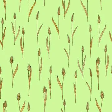 Vector seamless pattern with of cartoon doodle wheat spikes イラスト素材