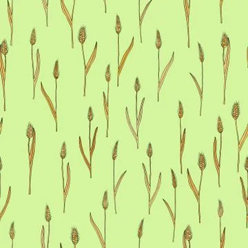 Vector seamless pattern with of cartoon doodle wheat spikes 스톡 일러스트