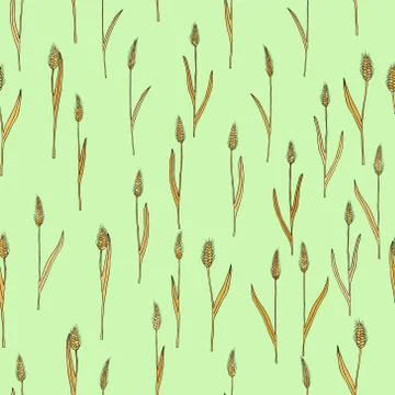 Vector seamless pattern with of cartoon doodle wheat spikes 스톡 일러스트