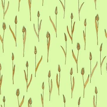 Vector seamless pattern with of cartoon doodle wheat spikes 스톡 일러스트
