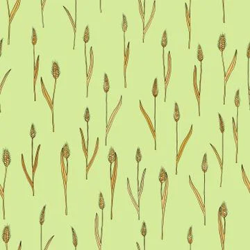 Vector seamless pattern with of cartoon doodle wheat spikes イラスト素材