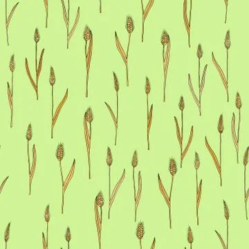 Vector seamless pattern with of cartoon doodle wheat spikes Stock Illustration
