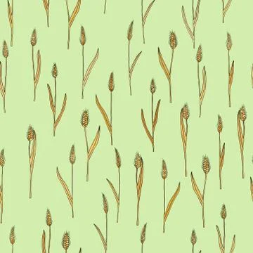 Vector seamless pattern with of cartoon doodle wheat spikes Stock Illustration