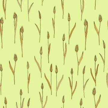 Vector seamless pattern with of cartoon doodle wheat spikes 스톡 일러스트