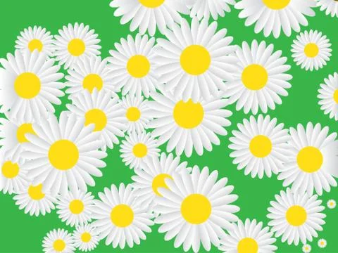 Vector seamless pattern with chamomile on green background. Can used for Stock Illustration