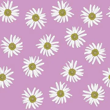 Vector seamless pattern with the chamomiles on a pink background in vintage s Illustrazione stock