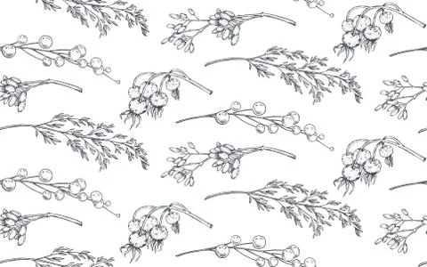Vector seamless pattern with Christmas floral elements, plants, branches. Stock Illustration